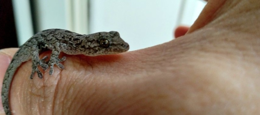 身体のバランスを示すイメージ